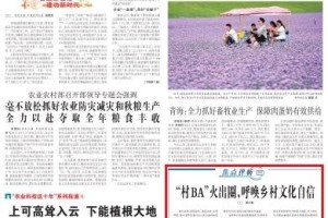 《农民日报》头版聚焦贵州：“村BA”火出圈，呼唤乡村文化自信